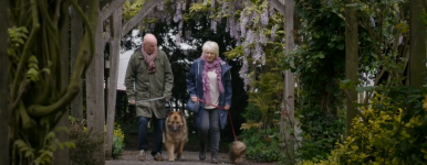23 Walks movie image 603131