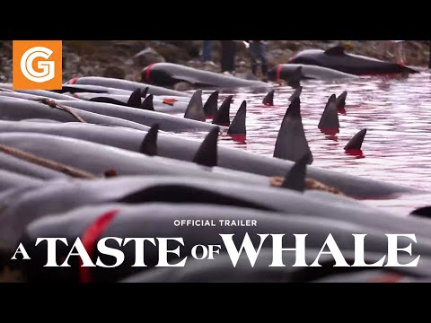 A Taste of Whale trailer