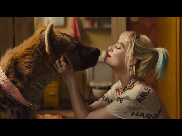 Watch Birds of Prey (and the Fantabulous Emancipation of One Harley Quinn) Official Trailer #2 — Official Trailer