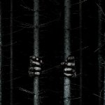 Blair Witch movie image 333871