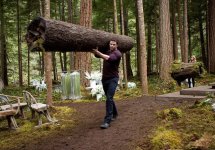 The Twilight Saga: Breaking Dawn Part 1 movie image 68323