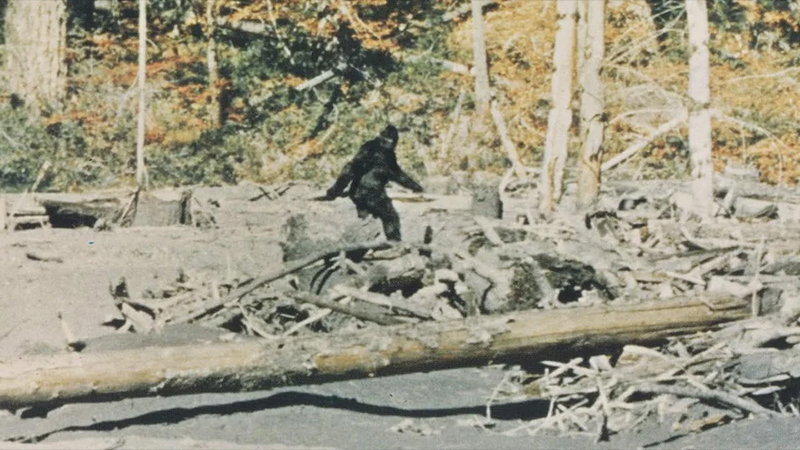 Movie photo