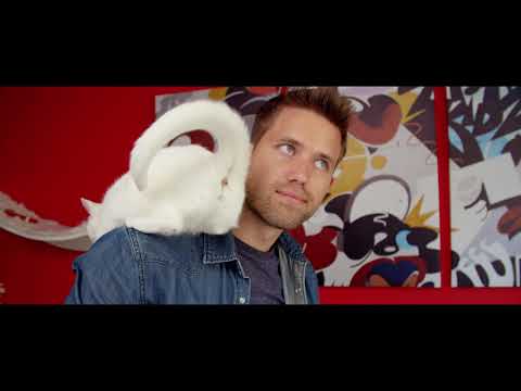 Cat Daddies trailer