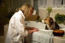 Darling Companion movie image 83249