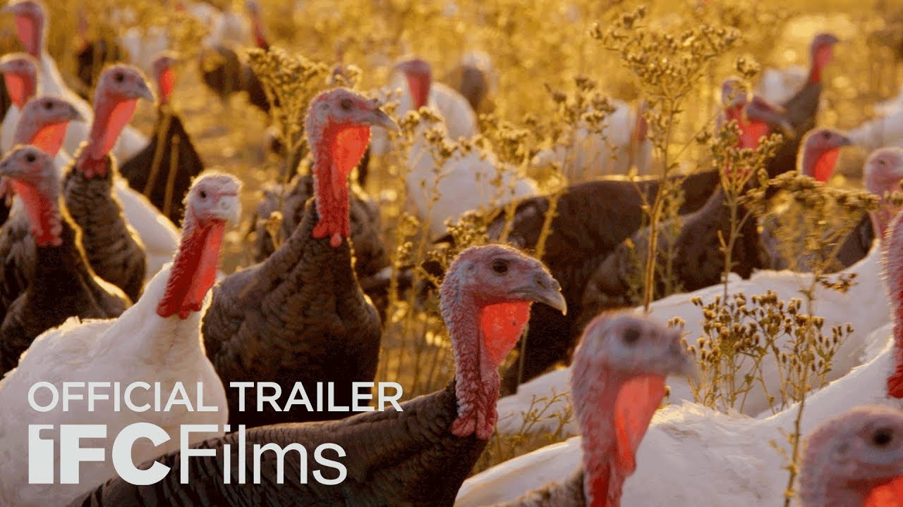 Watch Eating Animals Official Trailer — Official Trailer