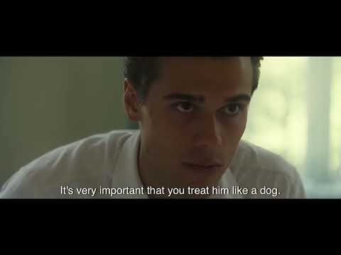 Good Boy trailer