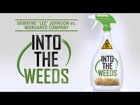 Into The Weeds trailer
