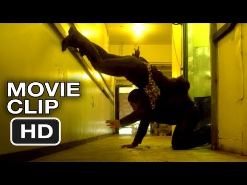 Haywire trailer
