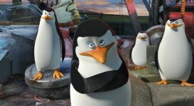 Madagascar 3: Europe's Most Wanted movie image 91316