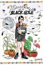 Marvelous and the Black Hole poster