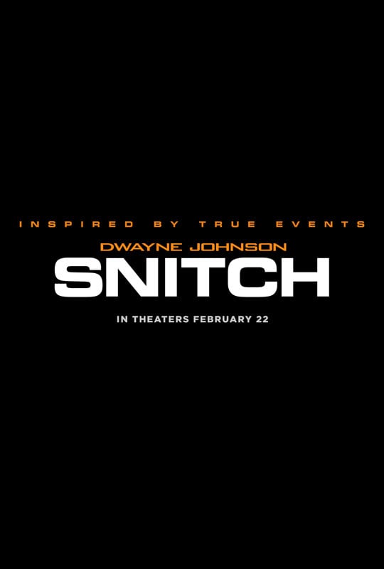 Snitch (2013) movie photo - id 114473