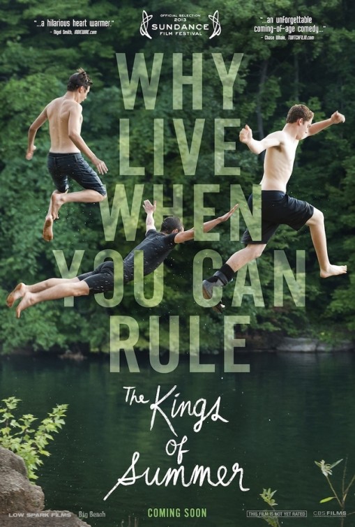 The Kings of Summer (2013) movie photo - id 128496