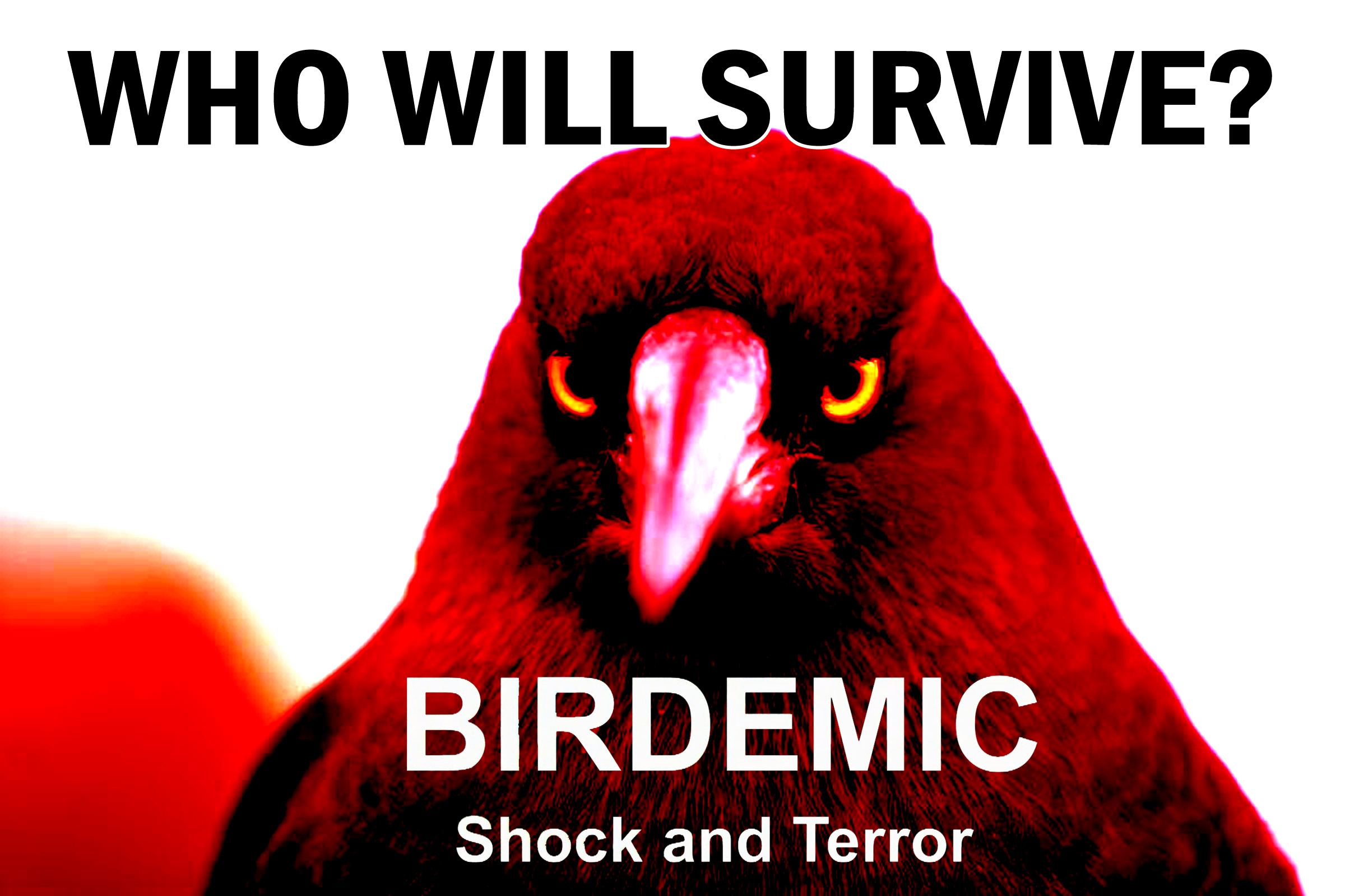 Птицекалипсис. Birdemic: Shock and Terror. Птицекалипсис ШОК.