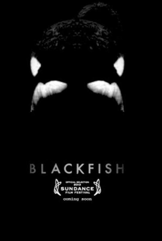 Blackfish (2013) movie photo - id 129706