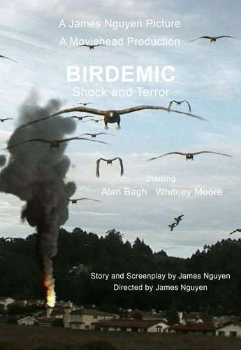 Birdemic: Shock and Terror (2012) movie photo - id 13203
