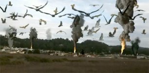 Birdemic: Shock and Terror movie image 104669