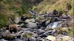 Grizzly Man movie image 1051