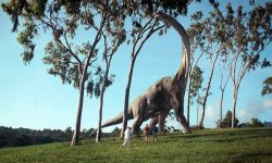 Jurassic Park 3D Movie Photo 111739