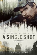 A Single Shot Movie