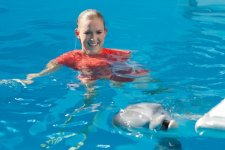 Dolphin Tale 2 movie image 151013