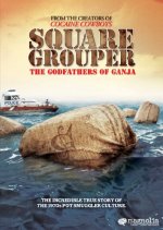 Square Grouper Movie
