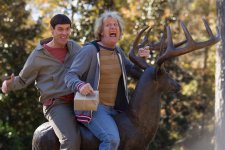 Dumb and Dumber To movie image 174340
