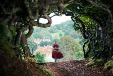Into the Woods movie image 176075
