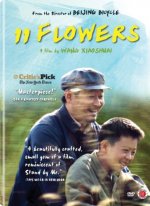 11 Flowers poster
