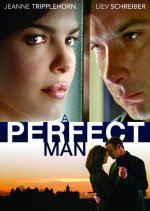A Perfect Man poster
