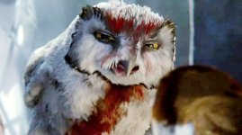Legend of the Guardians: The Owls of Ga'Hoole movie image 21279