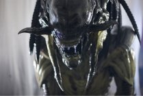 Everything You Need to Know About AVPR: Aliens vs Predator - Requiem Movie  (2007)