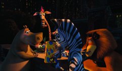 Madagascar movie image 239