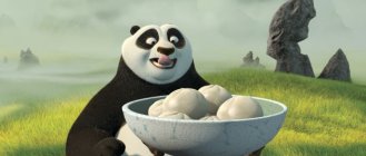 Kung Fu Panda movie image 2633
