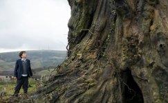 A Monster Calls movie image 273256