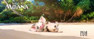 PUA is Moana’s loyal pet pig with puppy energy and an innocent puppy brain. 360088 photo