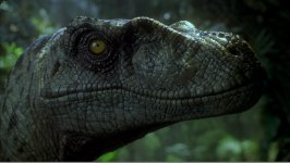 Lost World: Jurassic Park movie image 36082