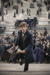 Fantastic Beasts and Where to Find Them movie image 383899