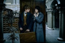 Fantastic Beasts and Where to Find Them movie image 383901