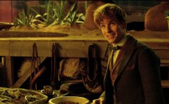 Fantastic Beasts and Where to Find Them movie image 383904