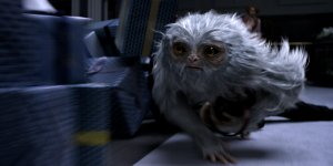 Fantastic Beasts and Where to Find Them movie image 383909