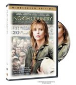 North Country poster