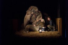 Water for Elephants movie image 44409