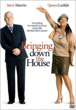Bringing Down the House Movie