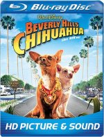 Beverly Hills Chihuahua Movie