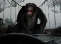 Rise of the Planet of the Apes movie image 45347