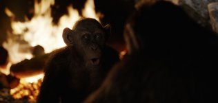 War for the Planet of the Apes movie image 456117