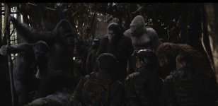 War for the Planet of the Apes movie image 456120