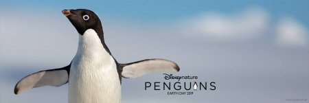 Penguins movie image 489395