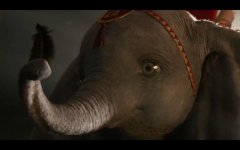 Dumbo movie image 506326