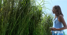 In The Tall Grass movie image 540120